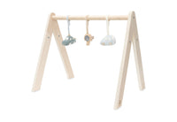 Babygym Toys - On The Go