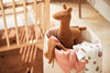 Stuffed Animal Lama XL - Caramel